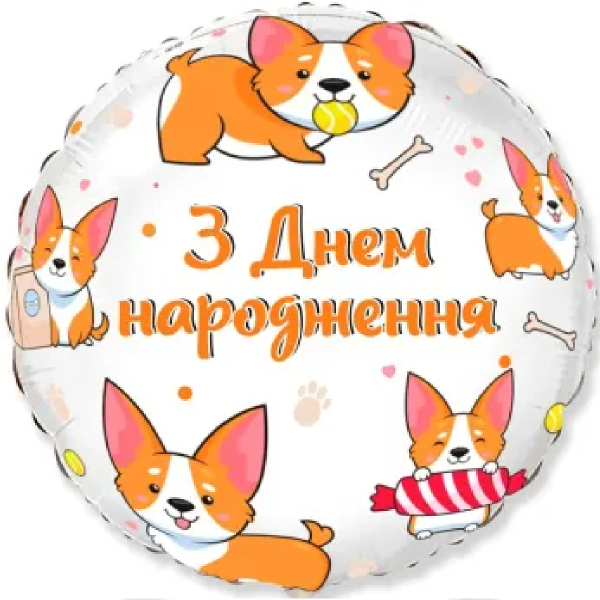 З днем народження собачки Корги (1.66)